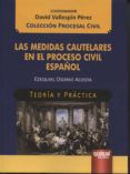 medidas cautelares en el proceso civil espanol