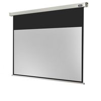 celexon electric professional pantalla de proyeccion electrica 280x158cm