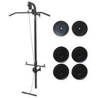 vidaxl maquina de musculacion de pared con discos de peso 40 kg