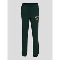 jack  jones pantalones 12213086 sweat pant 2-pine grove para nino