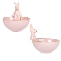 tazon de porcelana rosa con conejo