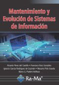 mantenimiento y evolucion de sistemas de informacion