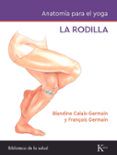 la rodilla anatomia para el yoga