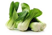 pak choi formato caja