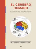 el cerebro humano libro de trabajo