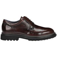 fluchos zapatos hombre f2054 para hombre