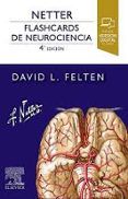 netter flashcards de neurociencia 4 ed