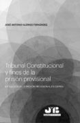 tribunal constitucional y fines de la prision provisional evolucion d