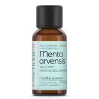 aceite esencial de menta arvensis 30 ml