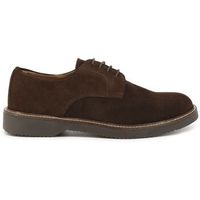 duca di morrone zapatos bajos alessio - suede brown para hombre