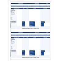 iris compatible payslip 2 per a4 sheet pack 1000 payslips - fy95