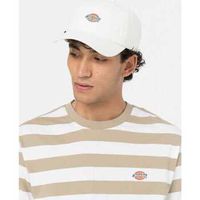 dickies gorra hardwick para hombre