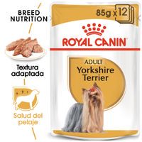 royal canin breed yorkshire terrier adult en sobres - 24 x 85 g - pack ahorro