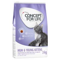 concept for life mum  young kittens pienso para gatos - 400 g