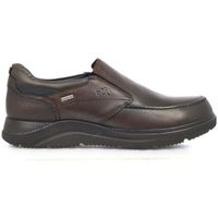 fluchos zapatos f1312 para hombre