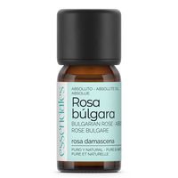 absoluto de rosa bulgara 5 ml