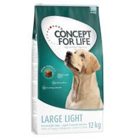 concept for life large light - 2 x 12 kg - pack ahorro