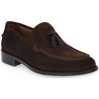 rogals mocasines tdm pianta 7 para hombre