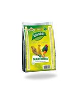 pasta amarilla splendido giallo patee manitoba 3kg