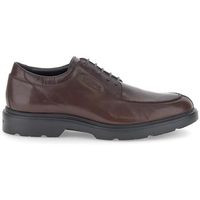 stonefly mocasines forever 3 buff lth 221671 marron para hombre