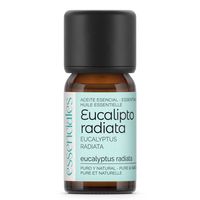 aceite esencial de eucalipto radiata 10 ml