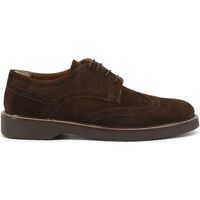 duca di morrone zapatos bajos enrico - suede brown para hombre