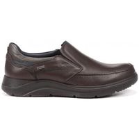 fluchos zapatos bajos denver f1312 grass castano para hombre