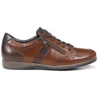 fluchos zapatos bajos daniel f1281 marron para hombre