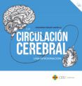 la circulacion cerebral una aproximacion