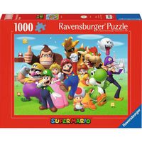 12000455 puzzle