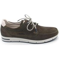 fluchos zapatos bajos f1695 para hombre