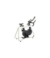 kettler hoi speed grey ciclo indoor