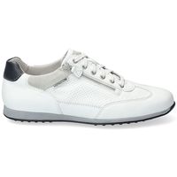 mephisto zapatillas de tenis leon para hombre