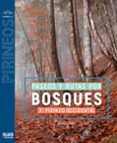 paseos y rutas por bosques i pirineo occidental