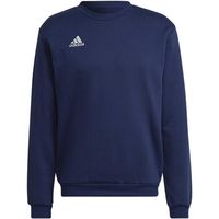 adidas polar - para hombre