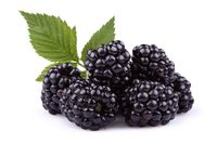 moras formato kilo