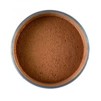 base de maquillaje en polvo mineral powder foundation - technic cosmetics honey