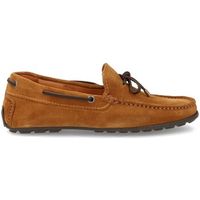 vale in mocasines d953 para hombre