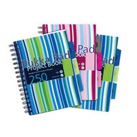 pukka pad stripes polypropylene project book a5 bluepink 3 pack