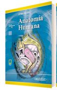 latarjet anatomia humana 5 ed tomo 2  e