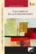 las familias en la constitucion