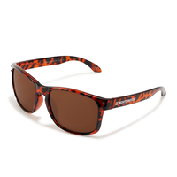 bold shine tortoise brown - ambar polarized