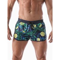 geronimo banador pantalones cortos de bano fruits para hombre