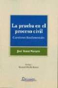 prueba en el proceso civil cuestiones fundamentales