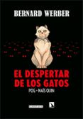 el despertar de los gatos