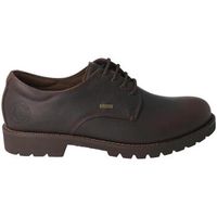 panama jack zapatos bajos jackson gtx c1 para hombre