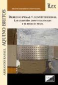 derecho penal y constitucional