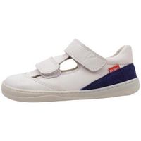 kickers sandalias kickbloom para nino