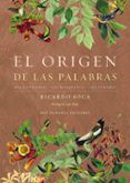 el origen de las palabras