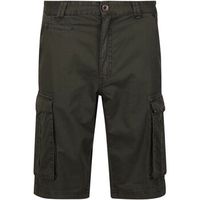 regatta short shorebay para hombre